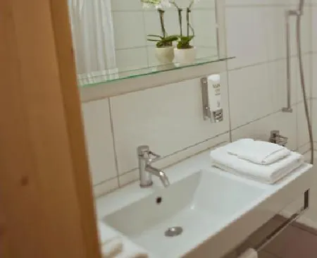 Alpina Apartman *